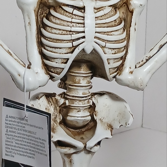 Martha Stewart Halloween Skull Gothic Candelabra 3 Arm Taper Candle Holder - Picture 9 of 15